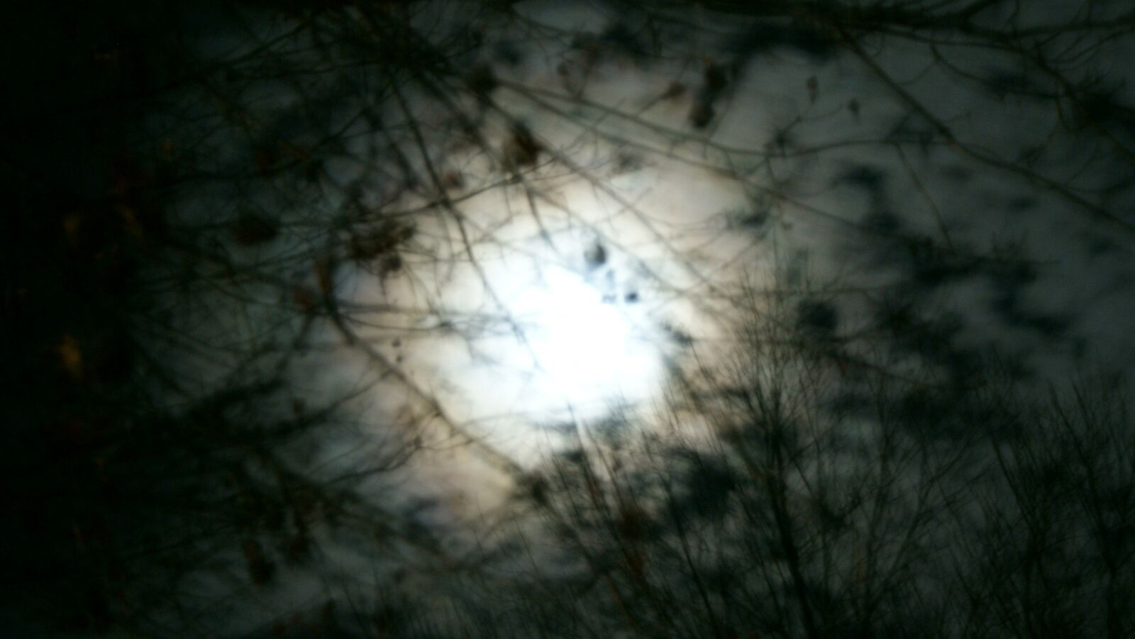 Sony Alpha DSLR-A350 sample photo. Moon, branches, night photography