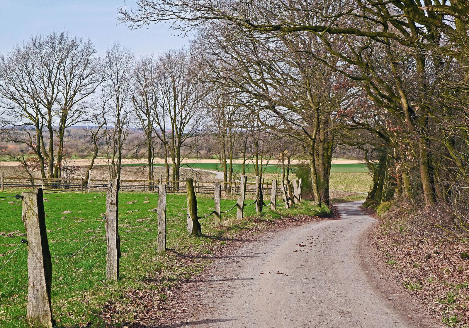 Panasonic Lumix DMC-GX1 sample photo. Landscape, grass, sky, tree photography