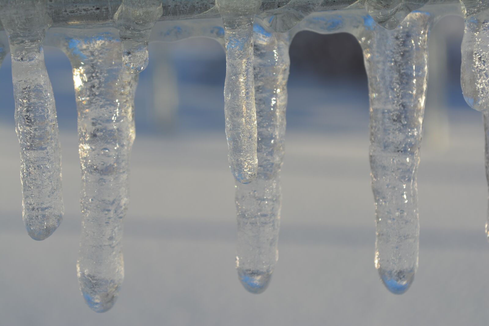 Nikon D5200 sample photo. Drops, winter, cold photography