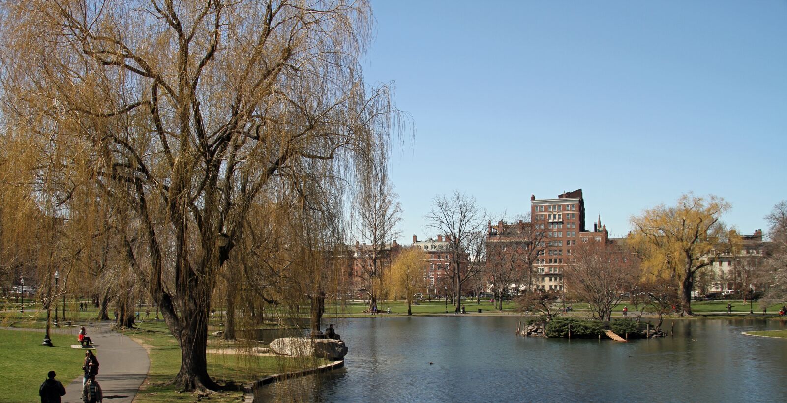 Canon EOS 7D sample photo. Public garden, boston, park photography