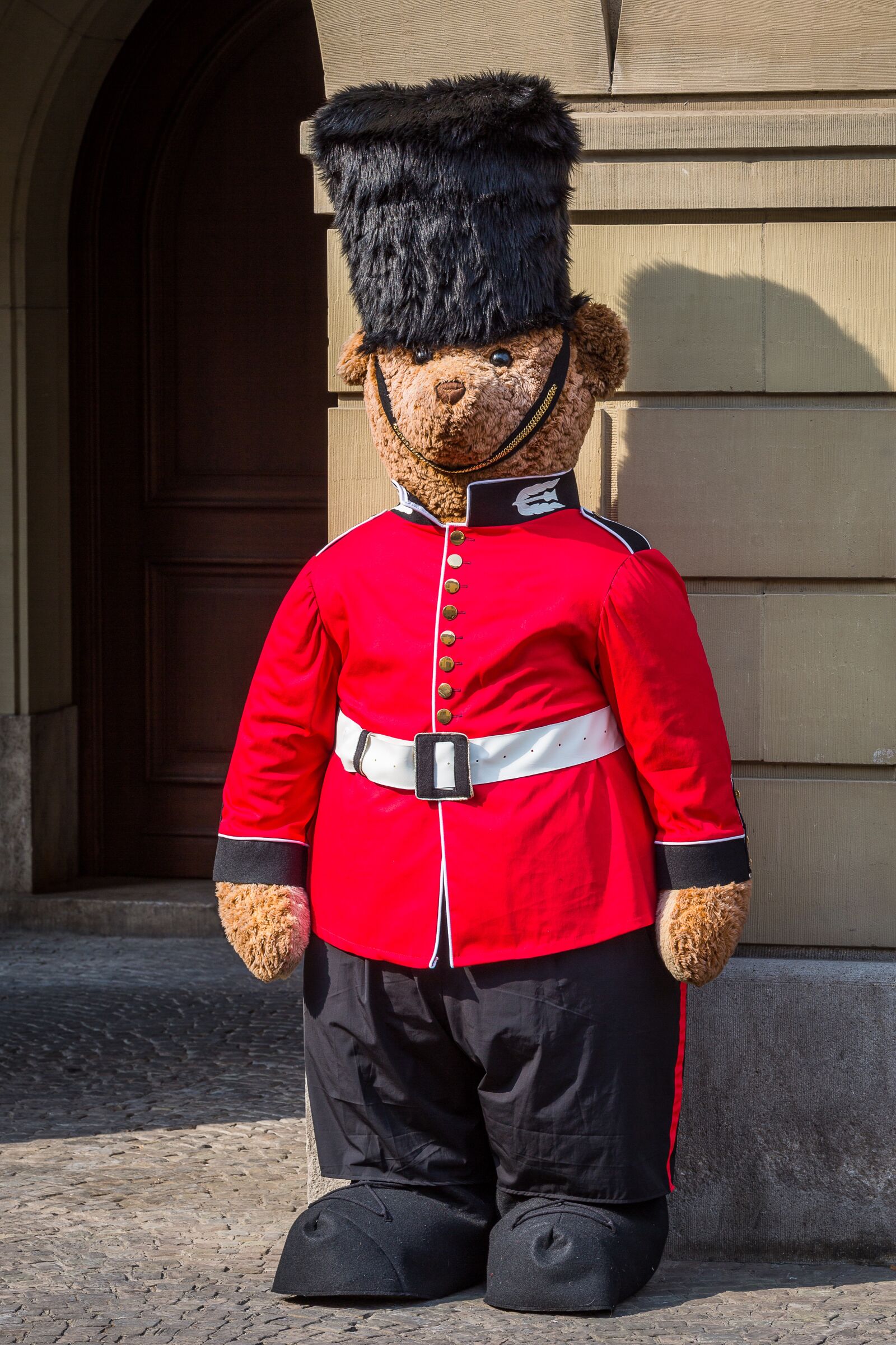Canon EOS 5D Mark III sample photo. Grenadier guards, london, united photography