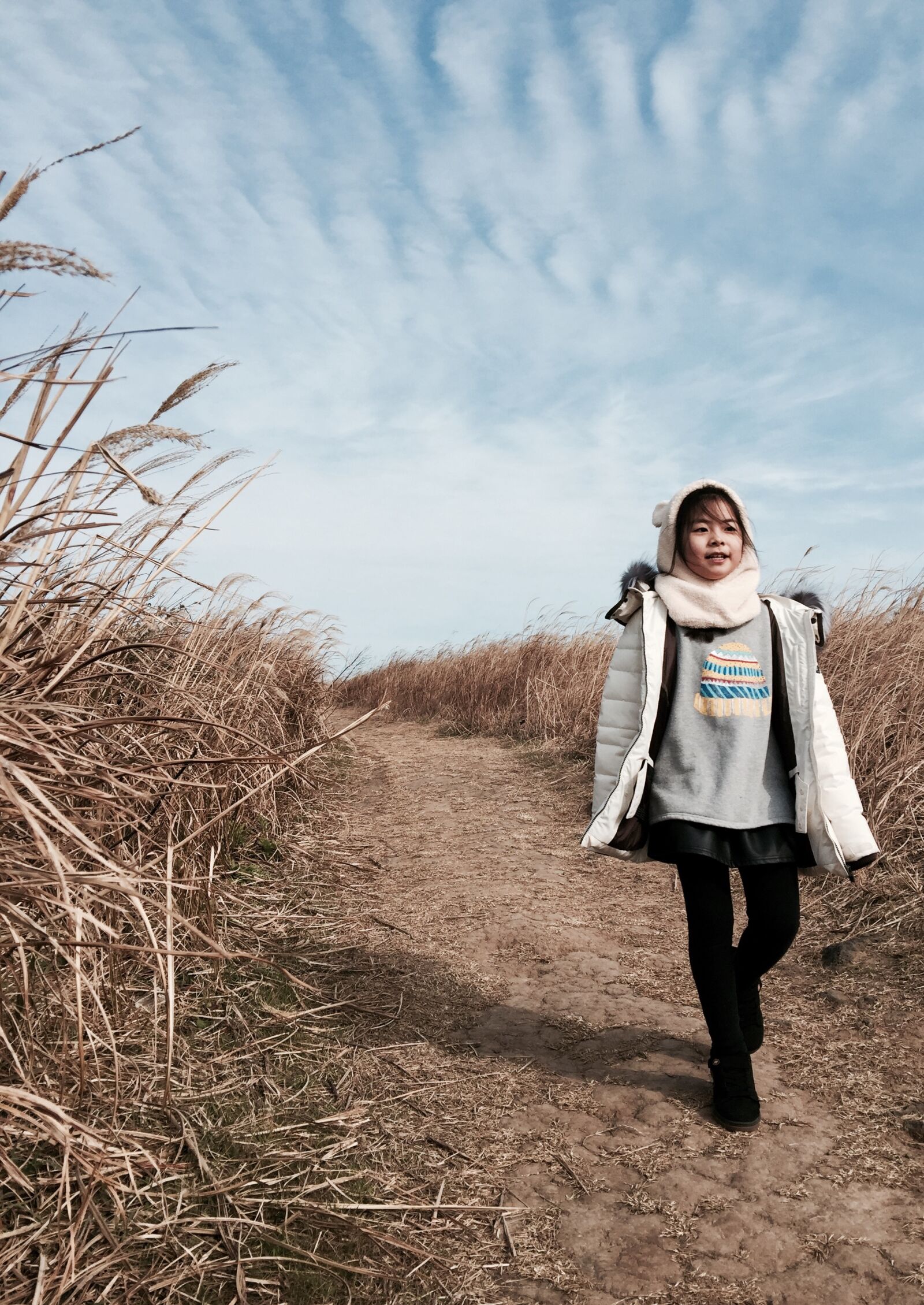 iPhone 6 Plus back camera 4.15mm f/2.2 sample photo. Marado, reeds forest, jeju photography