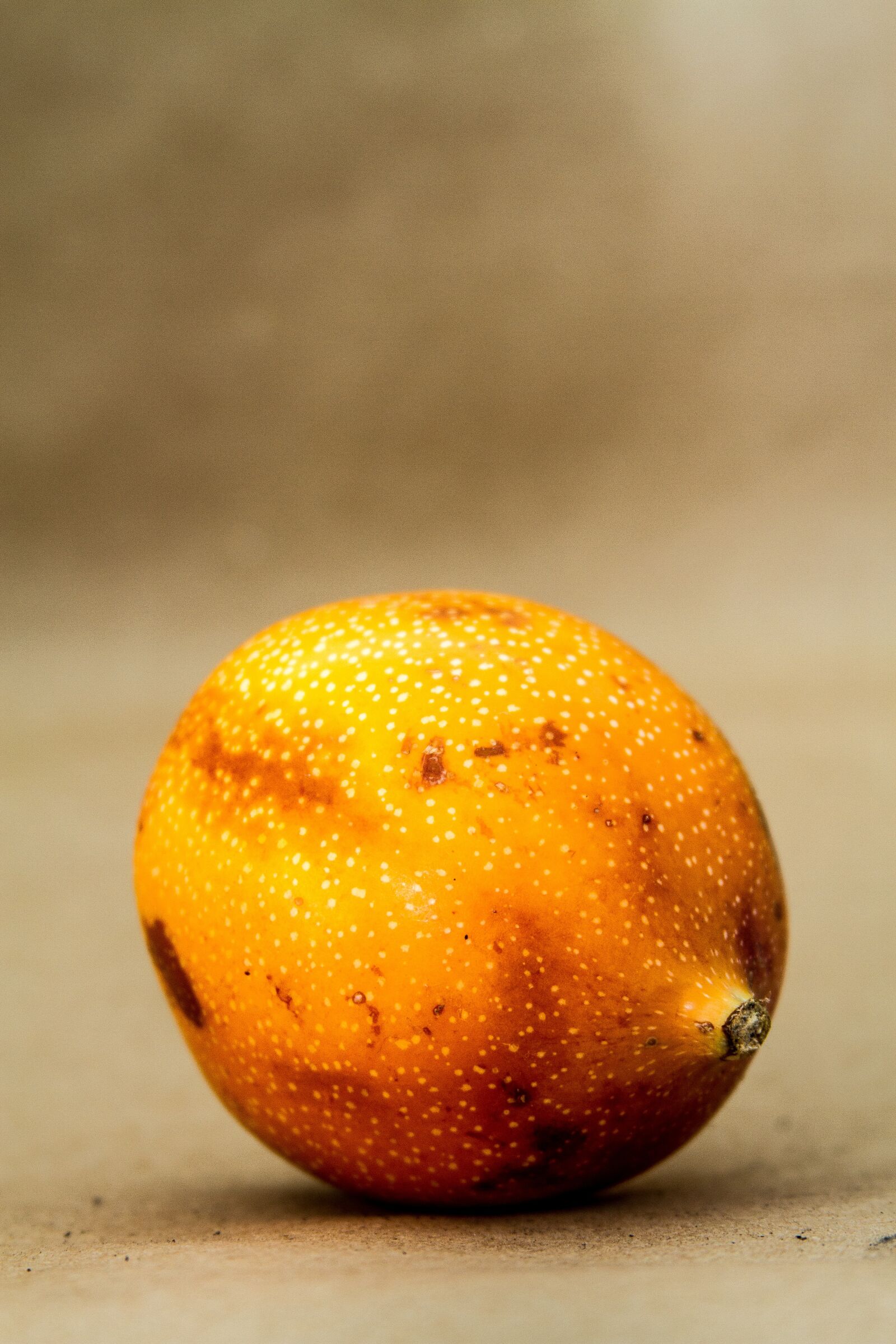 Canon EF 28-135mm F3.5-5.6 IS USM sample photo. Fruit, granadilla, seeds photography