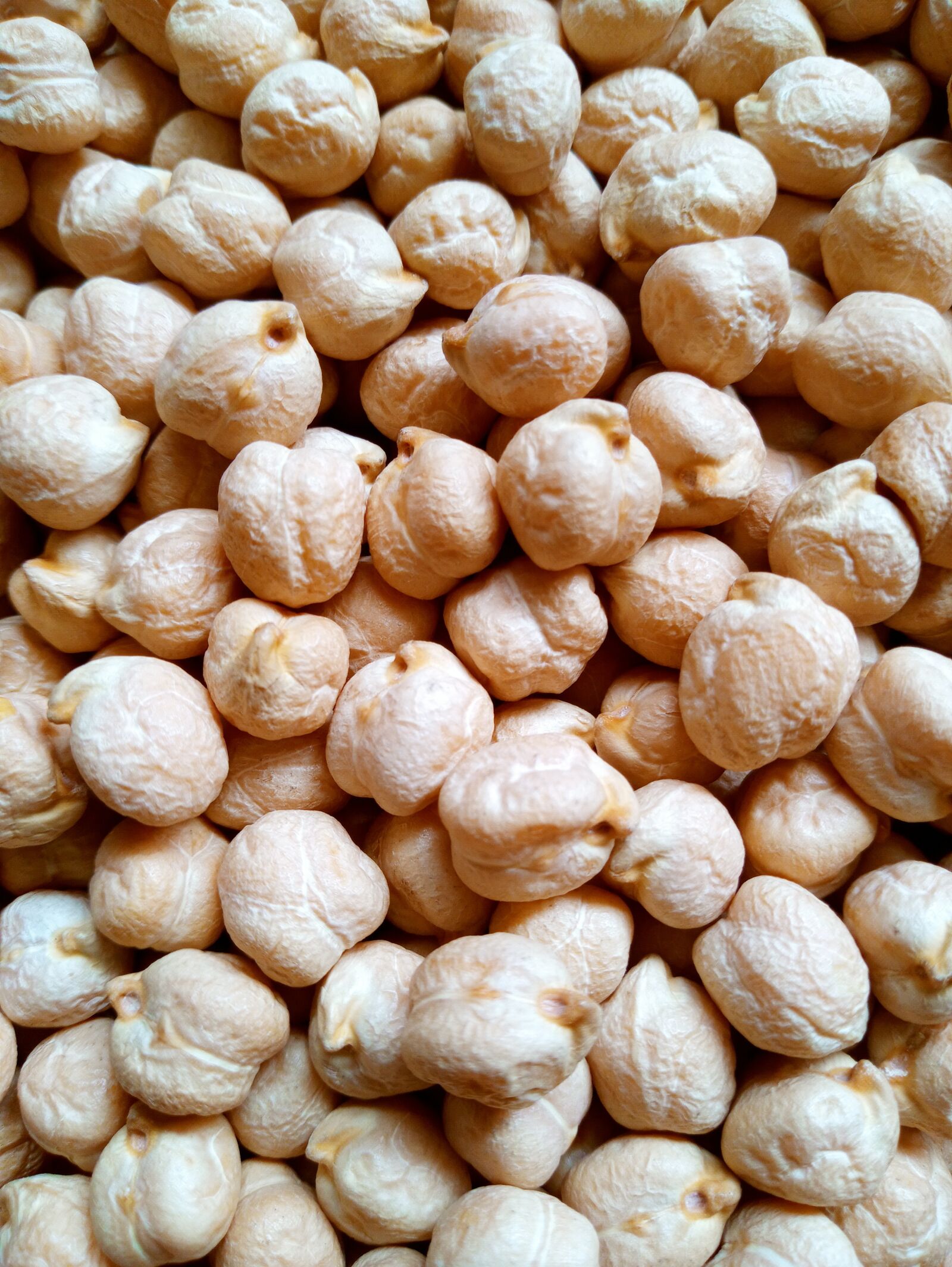 LG LM-X525 sample photo. Chickpeas, food, healthy photography