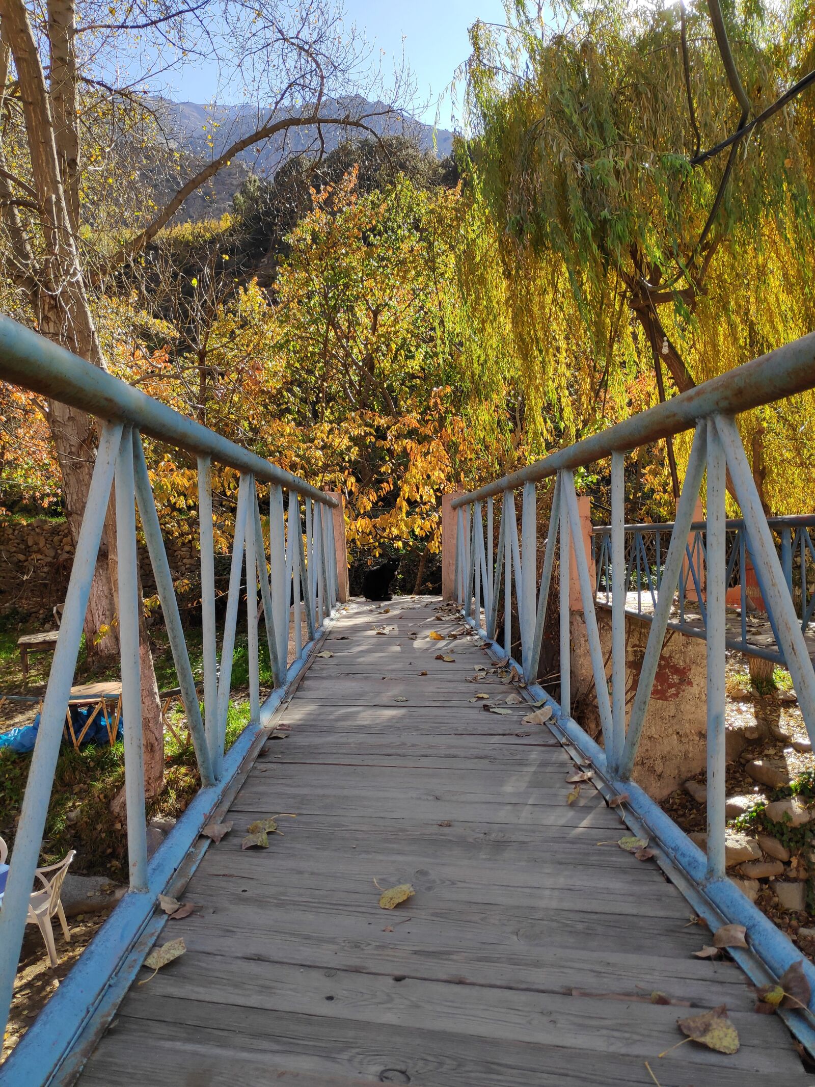 Xiaomi POCO F1 sample photo. Away, path, bridge photography