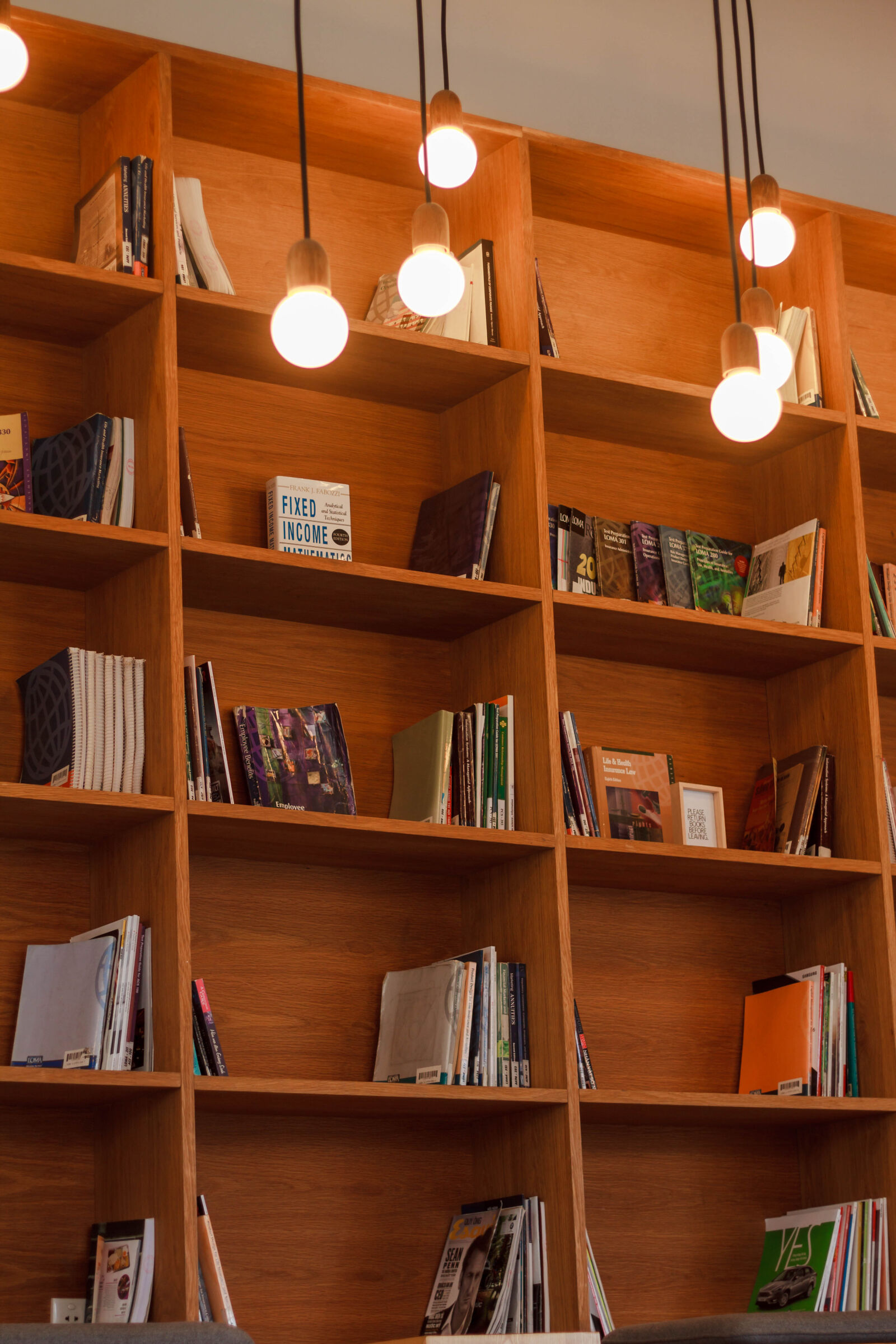Canon EOS 7D + Canon EF 50mm F1.8 II sample photo. Bookcase, books, lights, shelves photography
