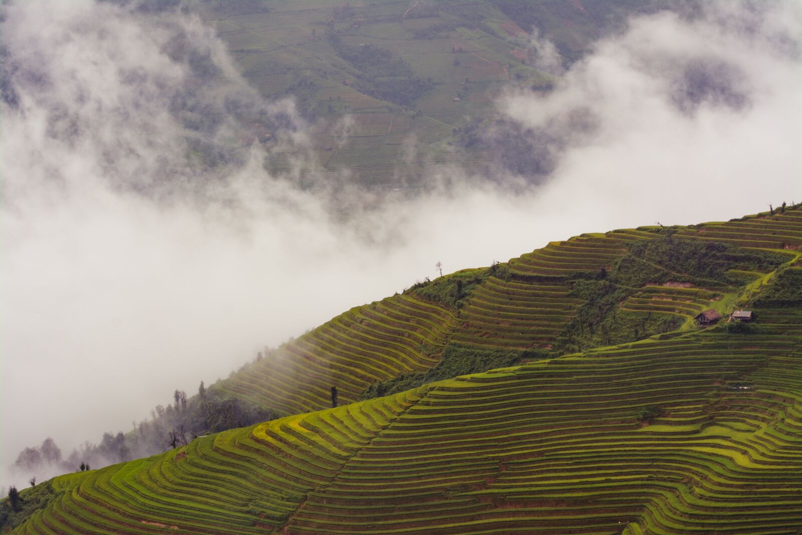 Nikon D7100 sample photo. Agriculture, clouds, cropland photography