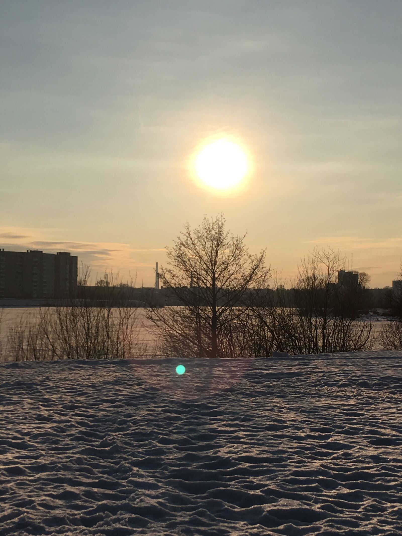 iPhone SE back camera 4.15mm f/2.2 sample photo. зима, холод, солнце photography