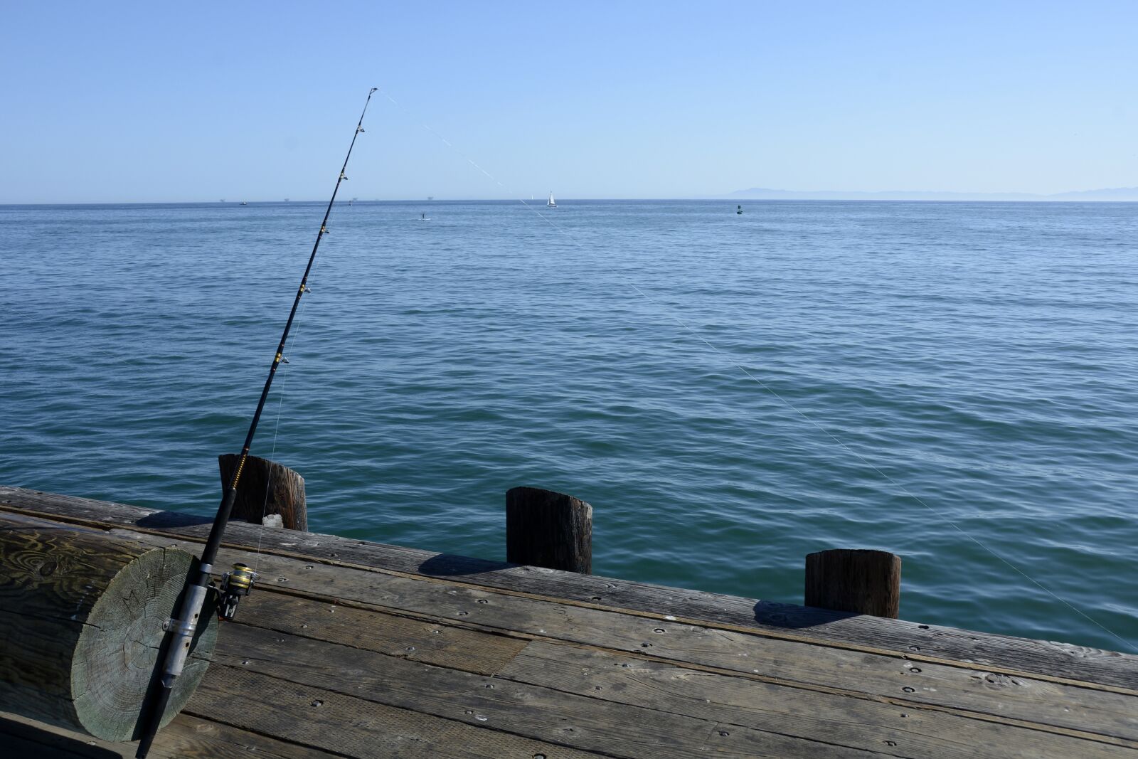 Nikon D7100 sample photo. Fishing reel, fish, fishing photography