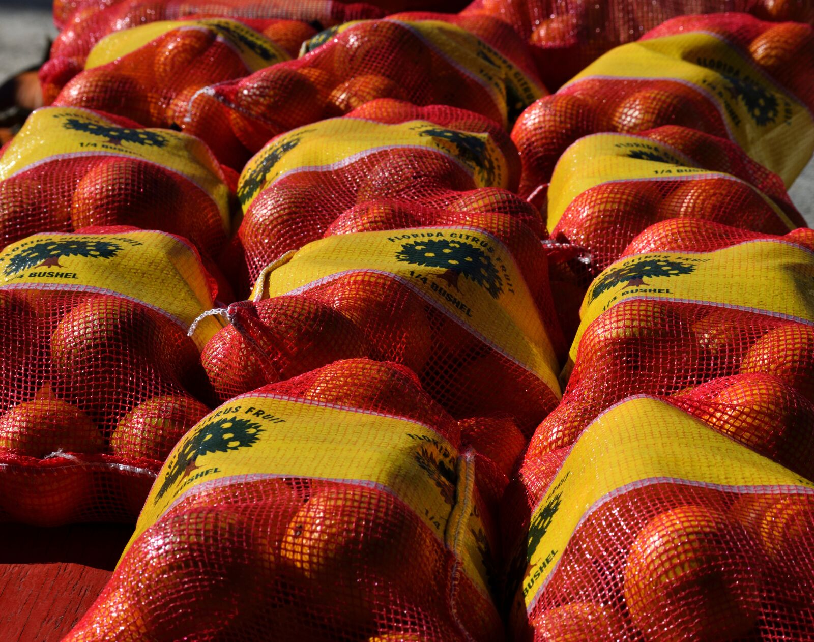 Nikon D3300 sample photo. Oranges, for sale, fruit photography