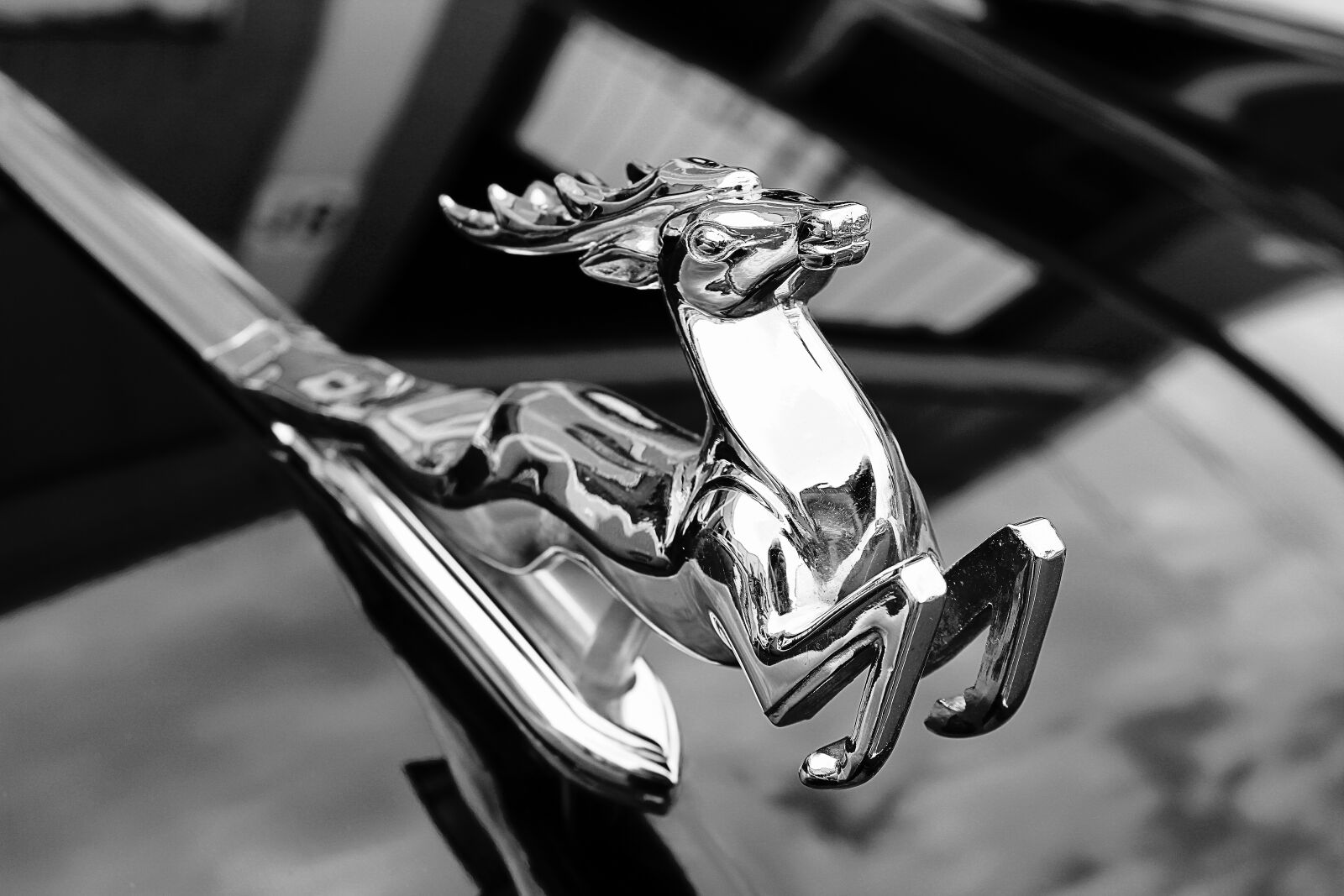Canon EOS 600D (Rebel EOS T3i / EOS Kiss X5) sample photo. Figure, hirsch, metal photography