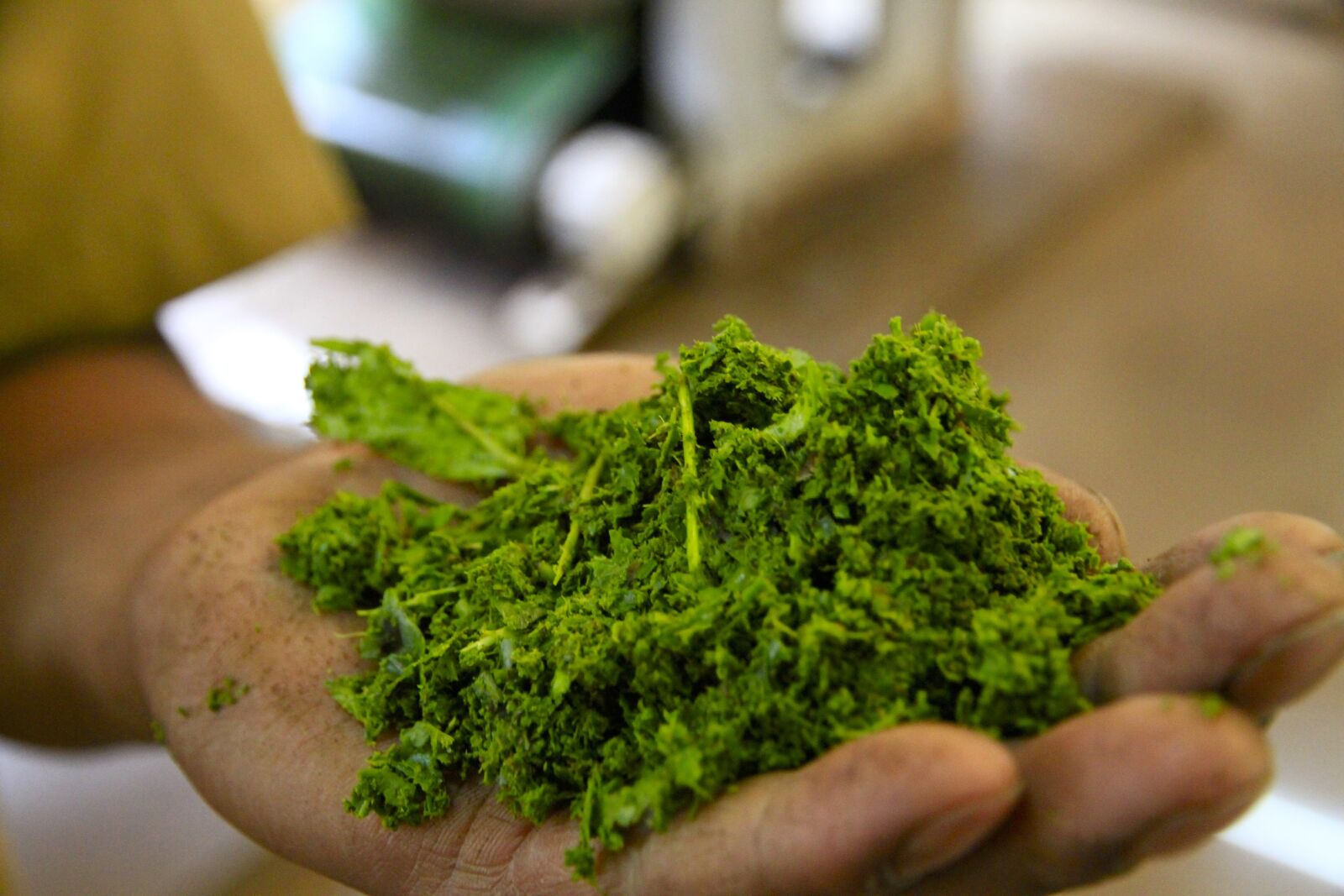 Canon EOS 7D sample photo. Herbal tea, green, india photography