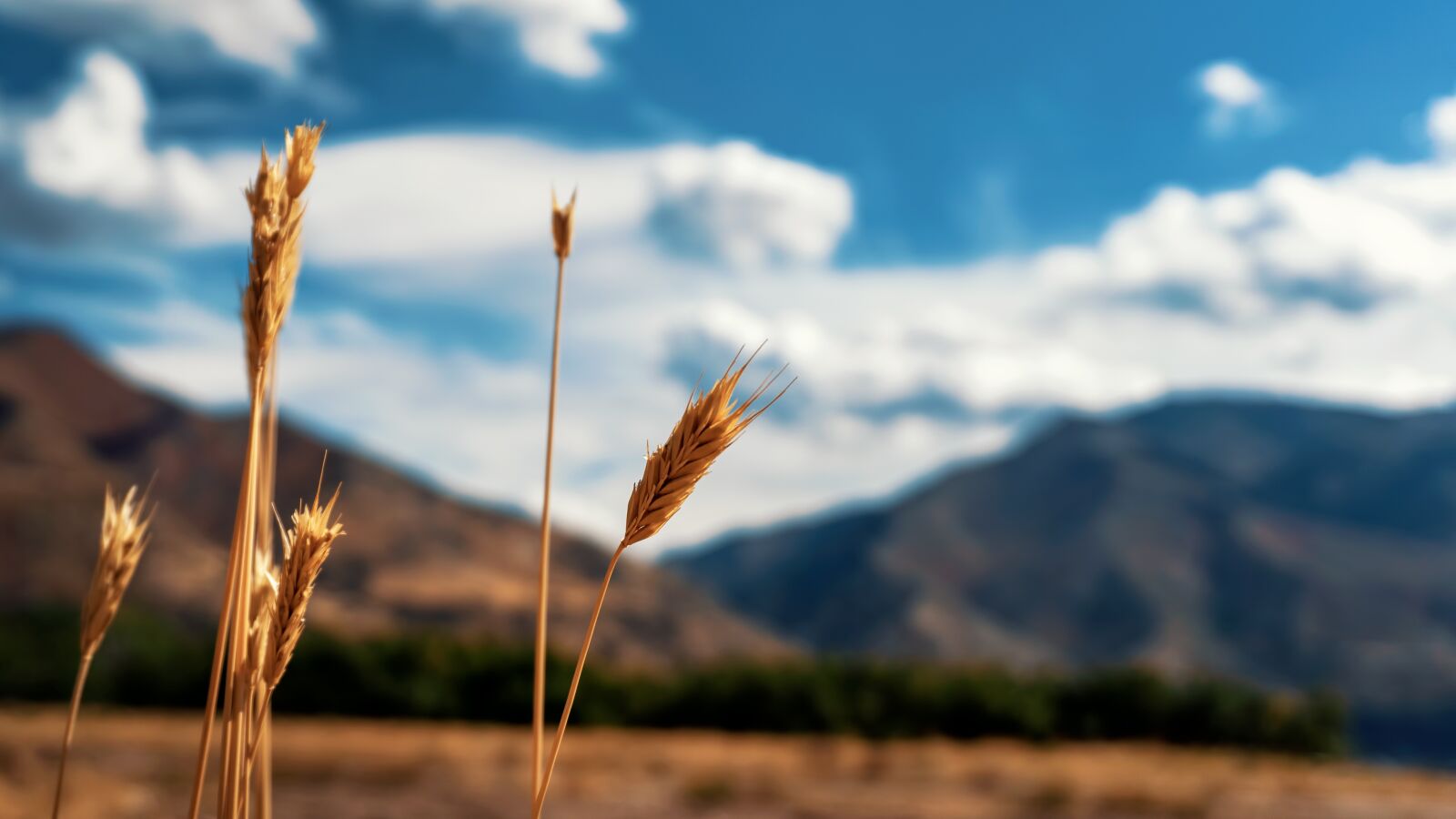 Sony a6000 sample photo. Mountains, field, grass photography
