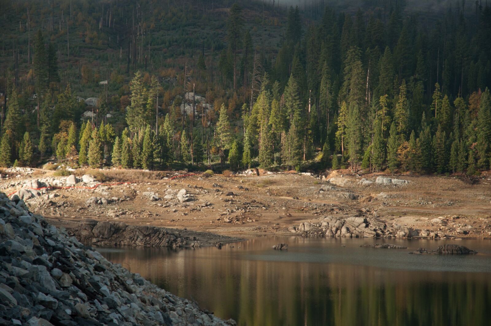 Nikon D90 sample photo. Lake, tree line, landscape photography