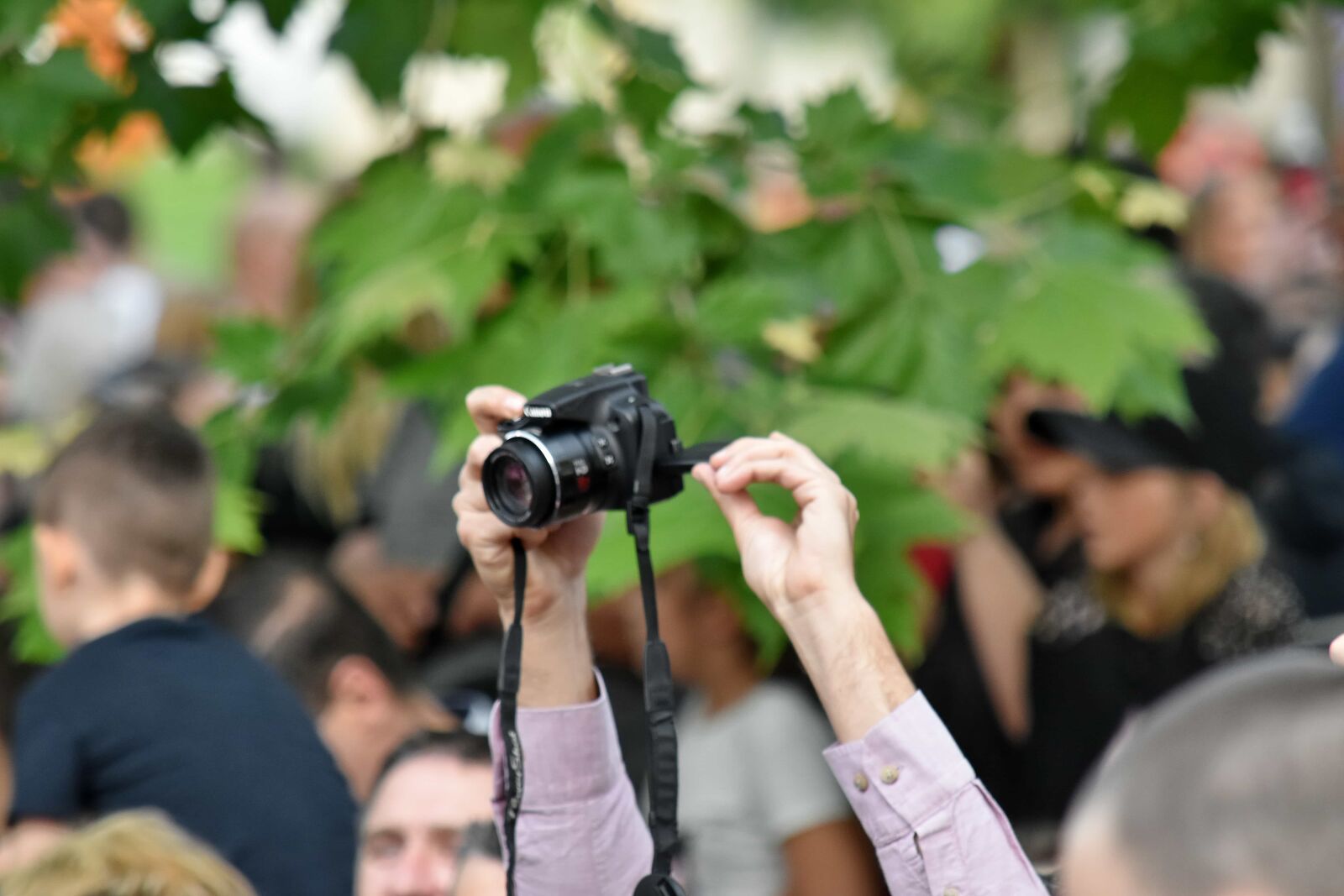 Nikon D5500 sample photo. Crowd, paparazzi, photographer, photography photography