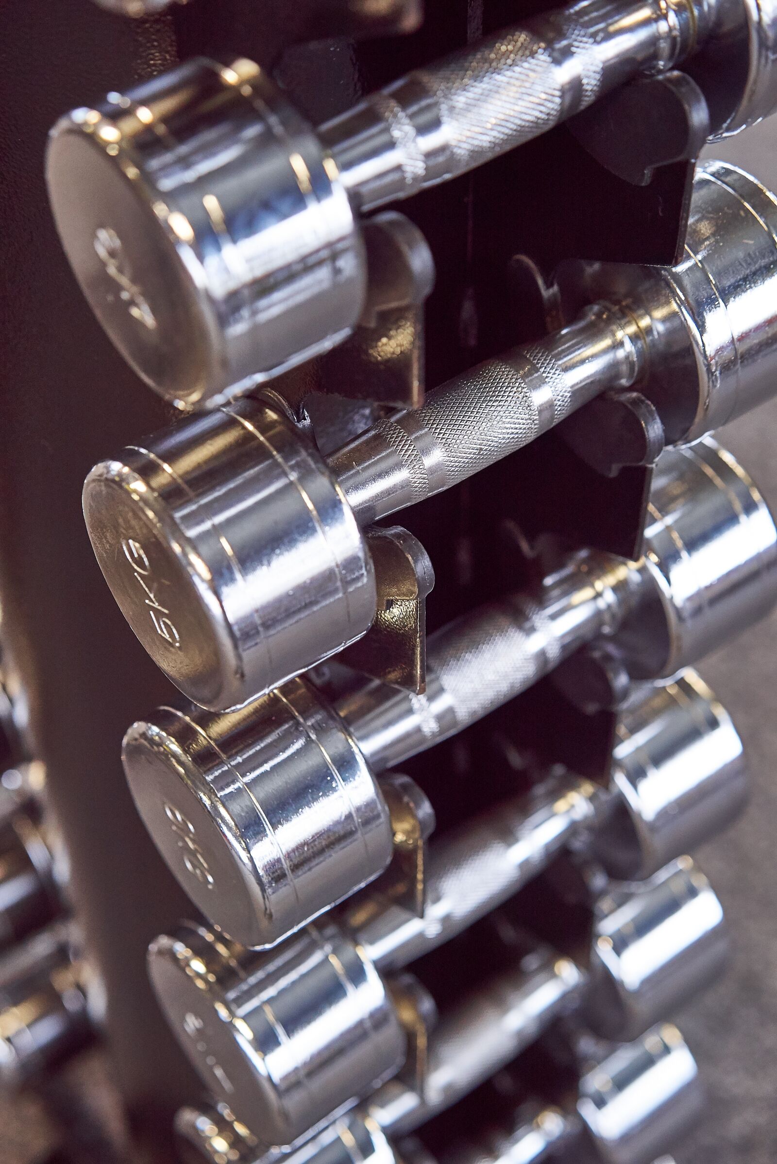 Sony Sonnar T* FE 55mm F1.8 ZA sample photo. Dumbbell, weight lifting, strength photography