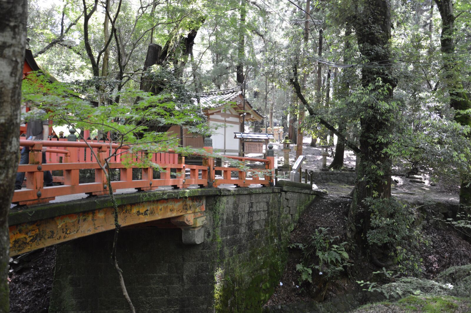 Nikon D3200 sample photo. Japan, nature, bridge photography