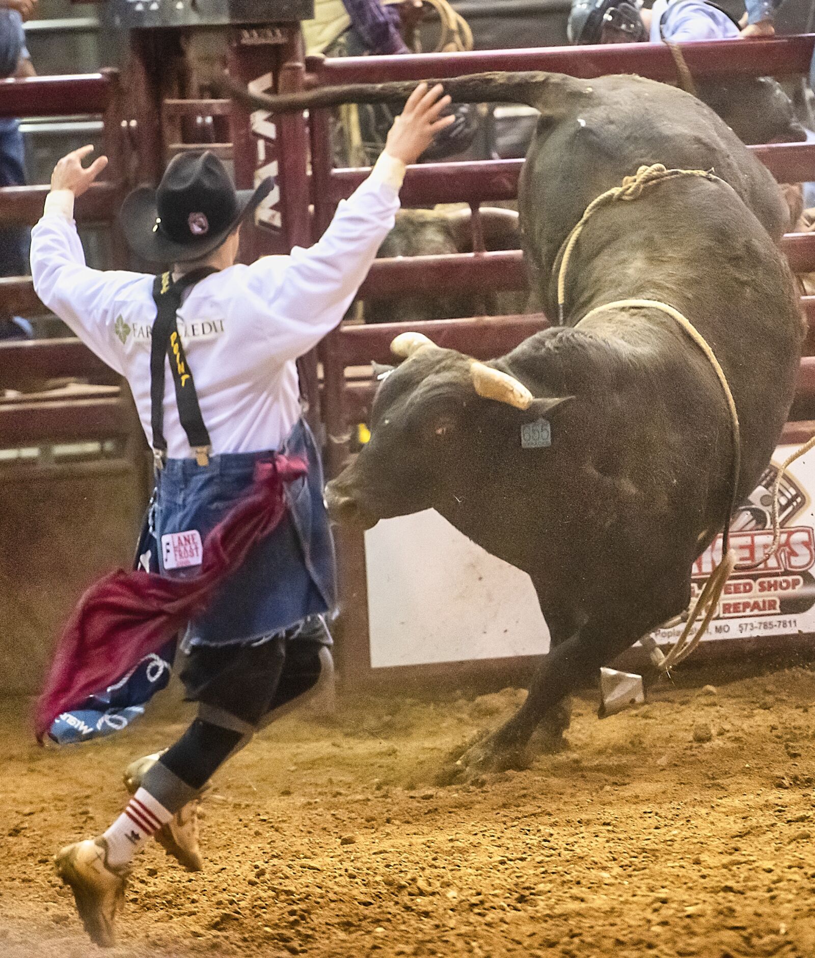 Nikon D850 sample photo. Rodeo, bull, sport photography