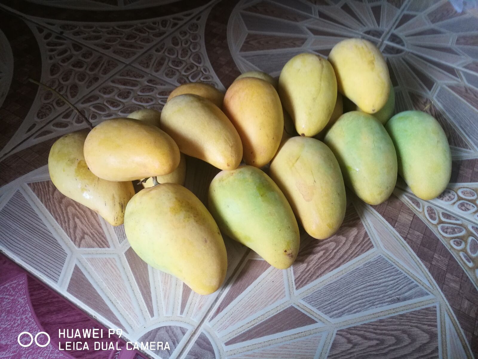 HUAWEI P9 sample photo. Ripe mango, mango chok photography