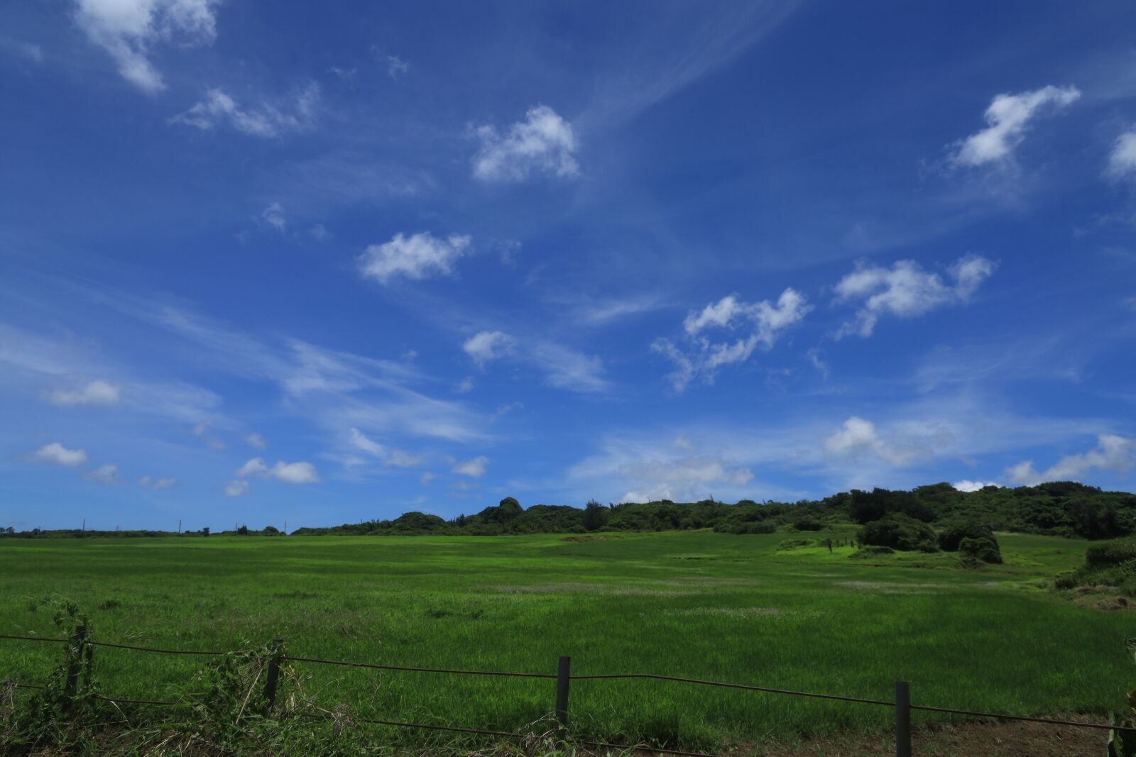 Canon EOS RP sample photo. Blue, sky, clouds photography