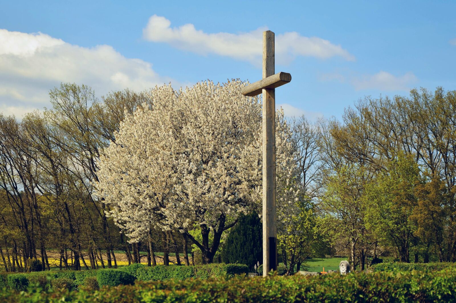 Nikon D5100 sample photo. Cross, cemetery, spring photography