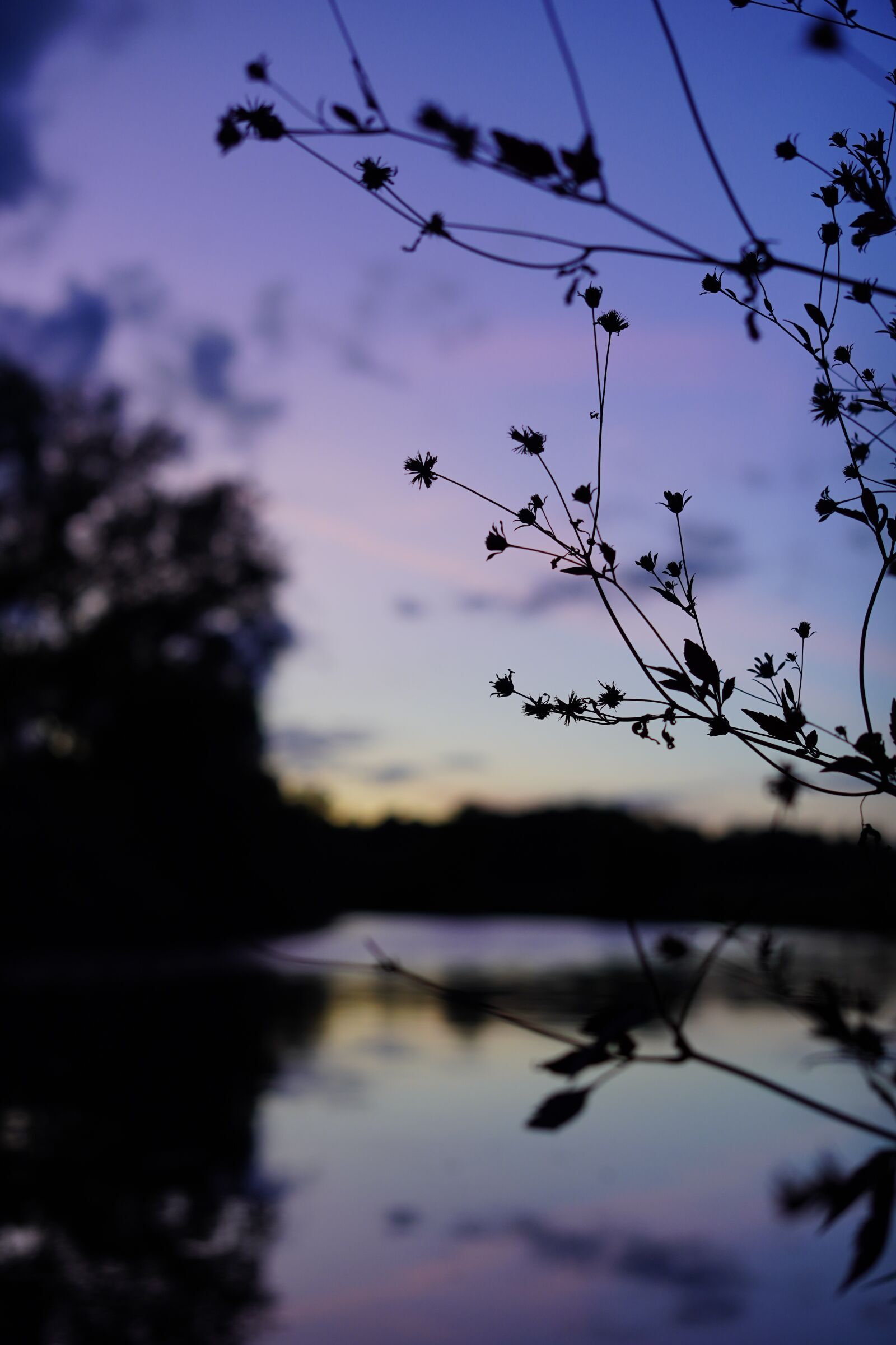 Sony FE 50mm F1.8 sample photo. Sunset, sky, nature photography