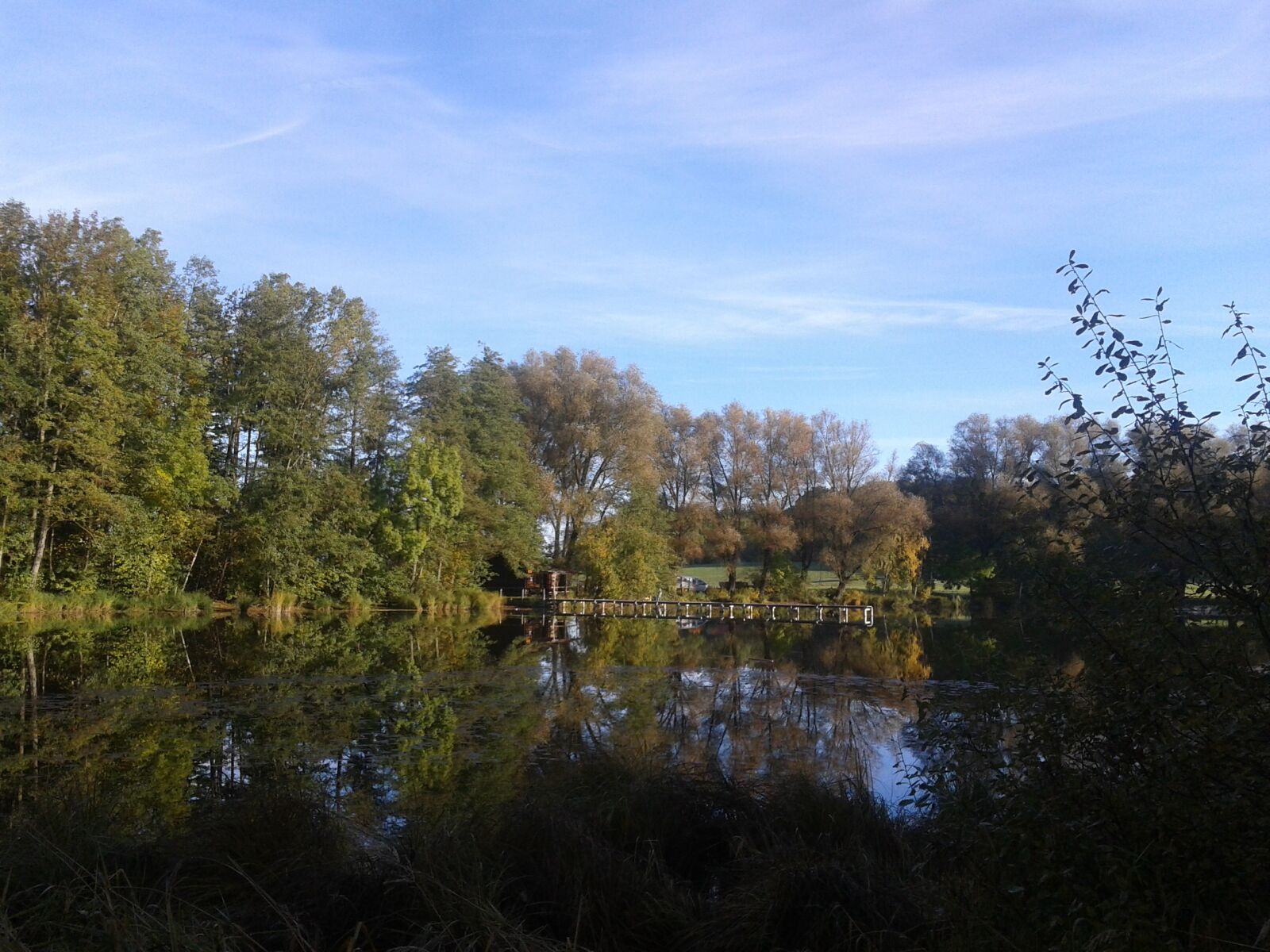 Samsung Galaxy Ace sample photo. Nature, lake, mirrored trees photography