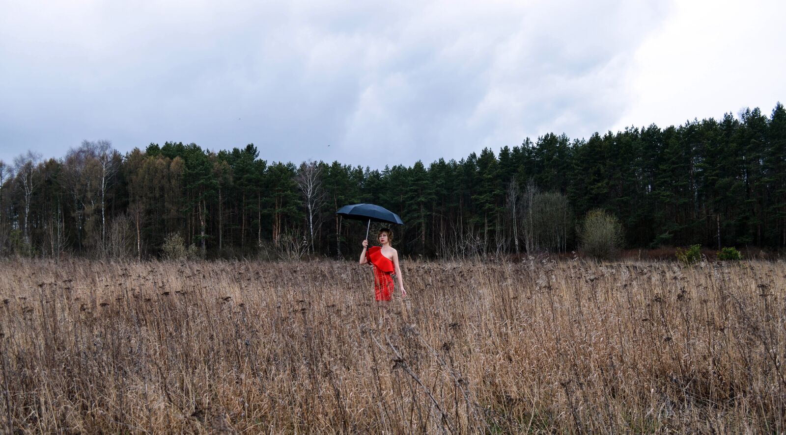 Nikon D3200 sample photo. Field, umbrella, nature photography