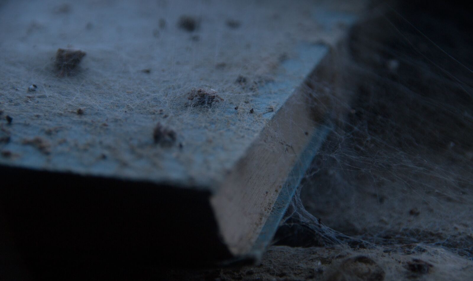 Sony SLT-A57 sample photo. Book, dusty, forget photography