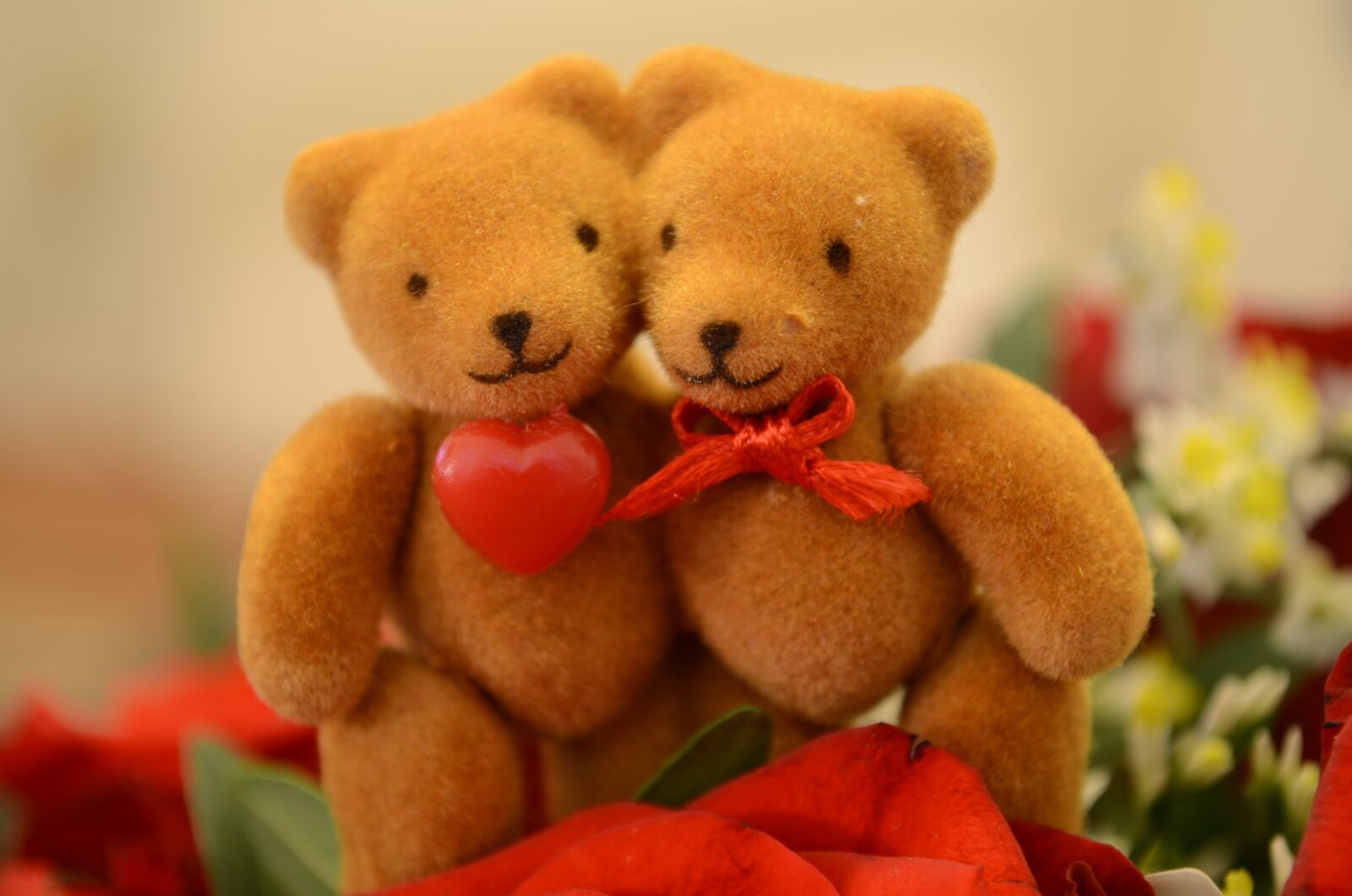 Nikon D5100 sample photo. Bear, love, heart photography