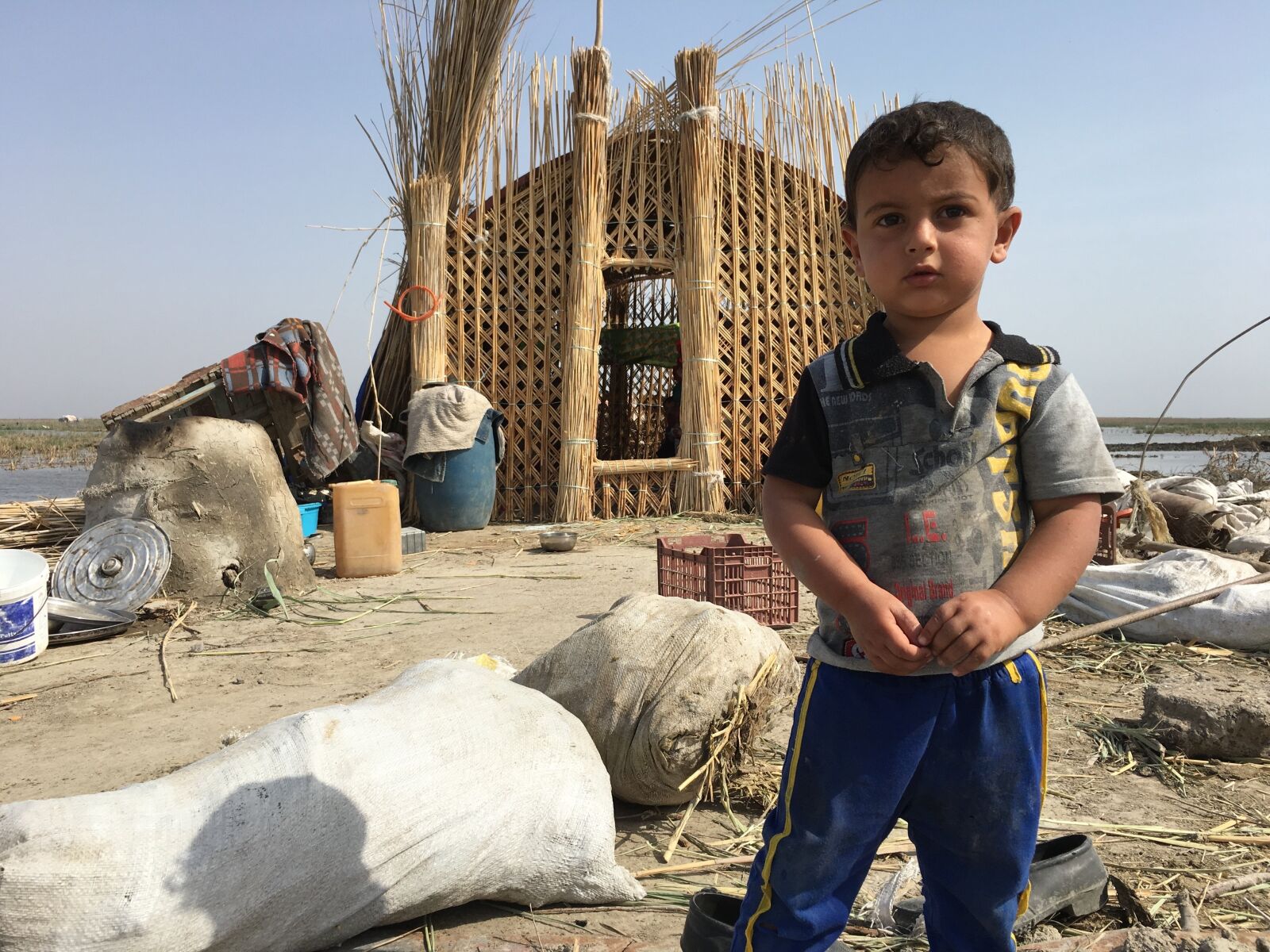 Apple iPhone 6s Plus sample photo. Marshes, iraq, nasiryah photography