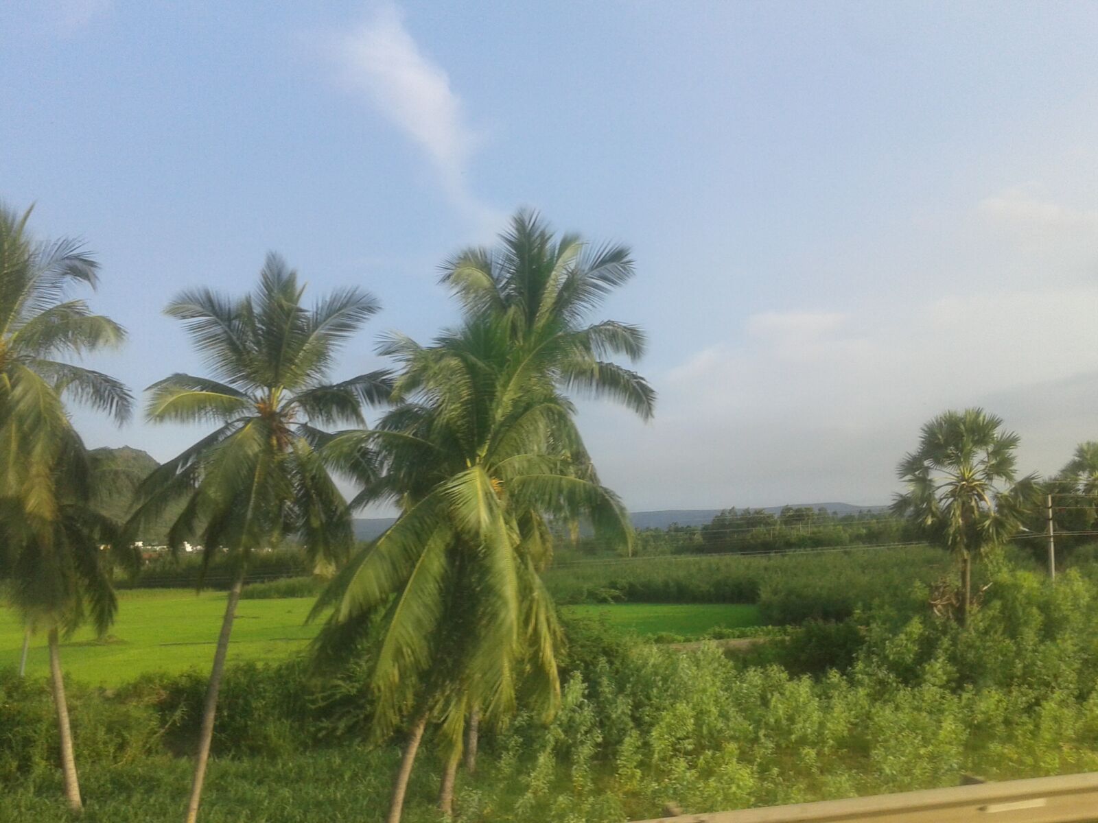 Samsung Galaxy Core sample photo