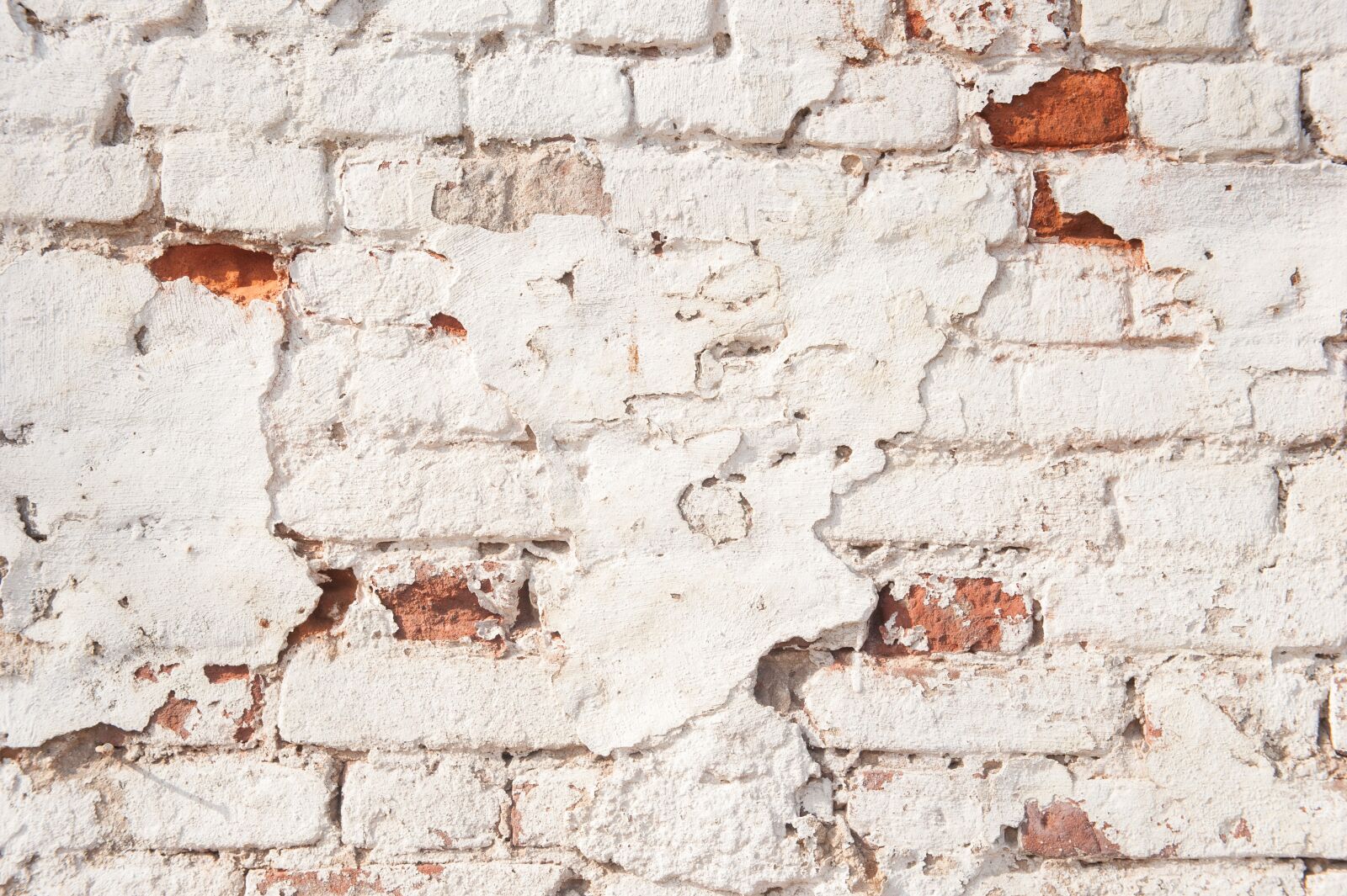 Nikon D700 sample photo. White wall, red brick photography