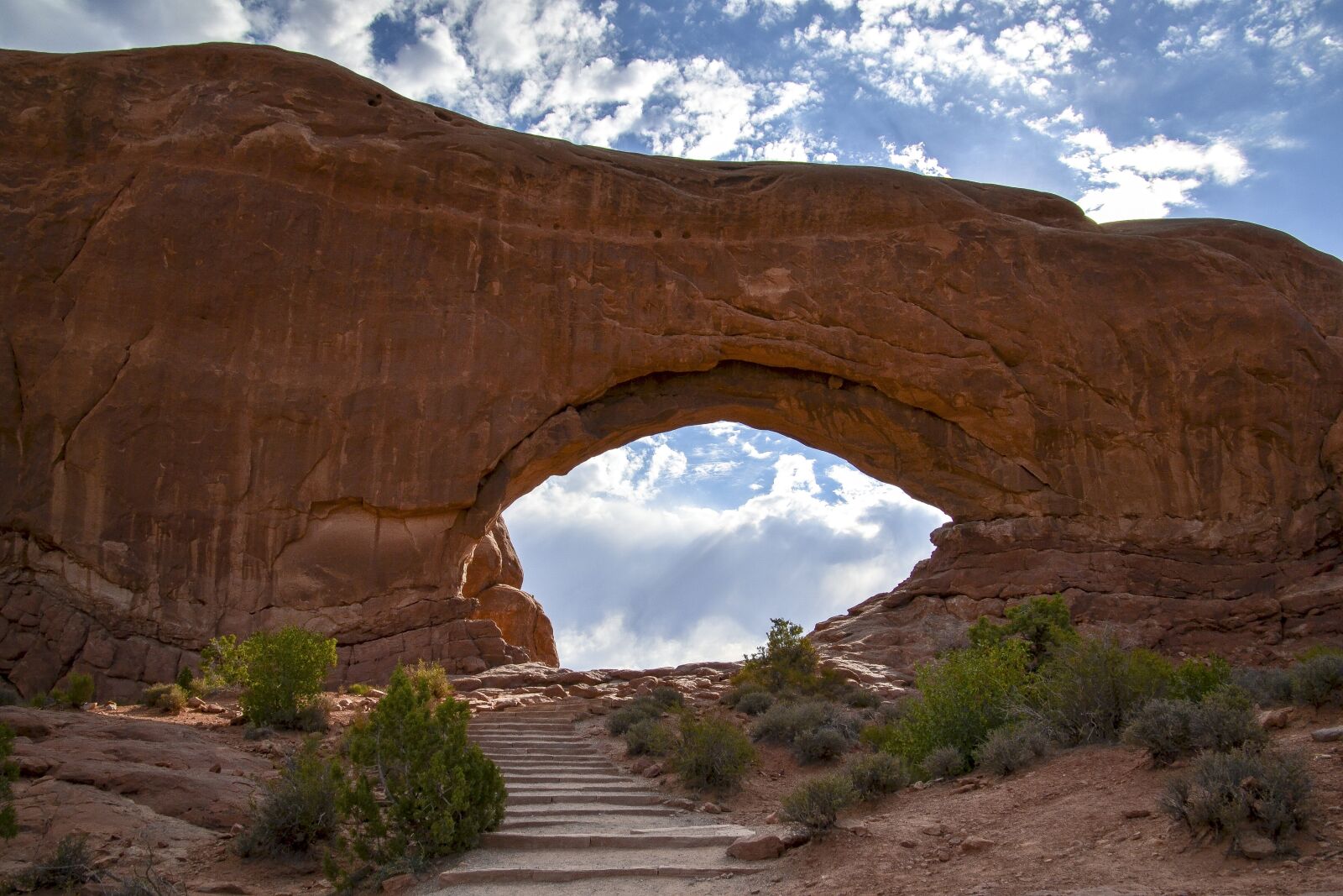 Nikon D3100 sample photo. Arches national park, trees photography