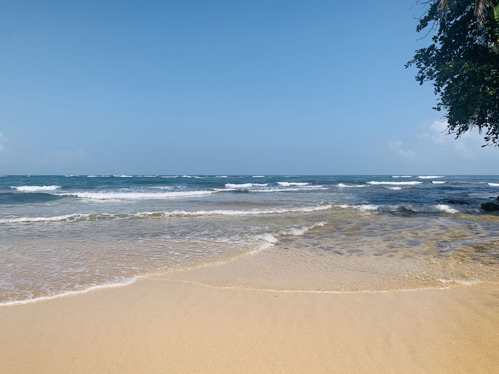 Apple iPhone XS Max sample photo. Beach, manzanillo, puerto limon photography