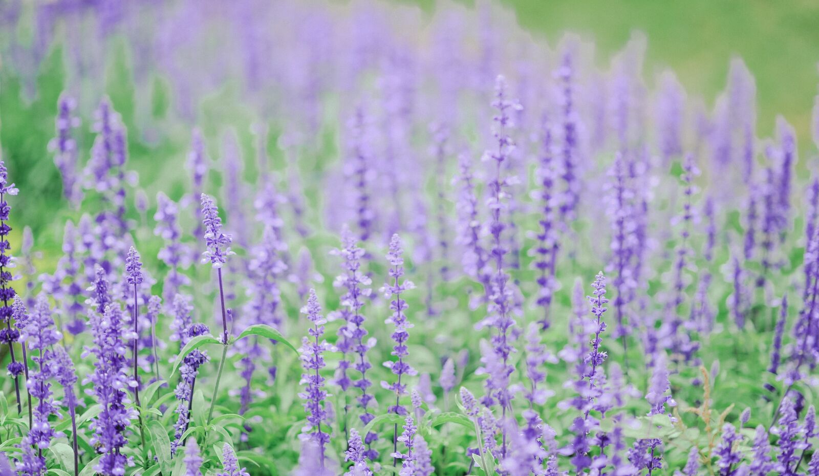Nikon D700 sample photo. Landscape, travel, nature photography