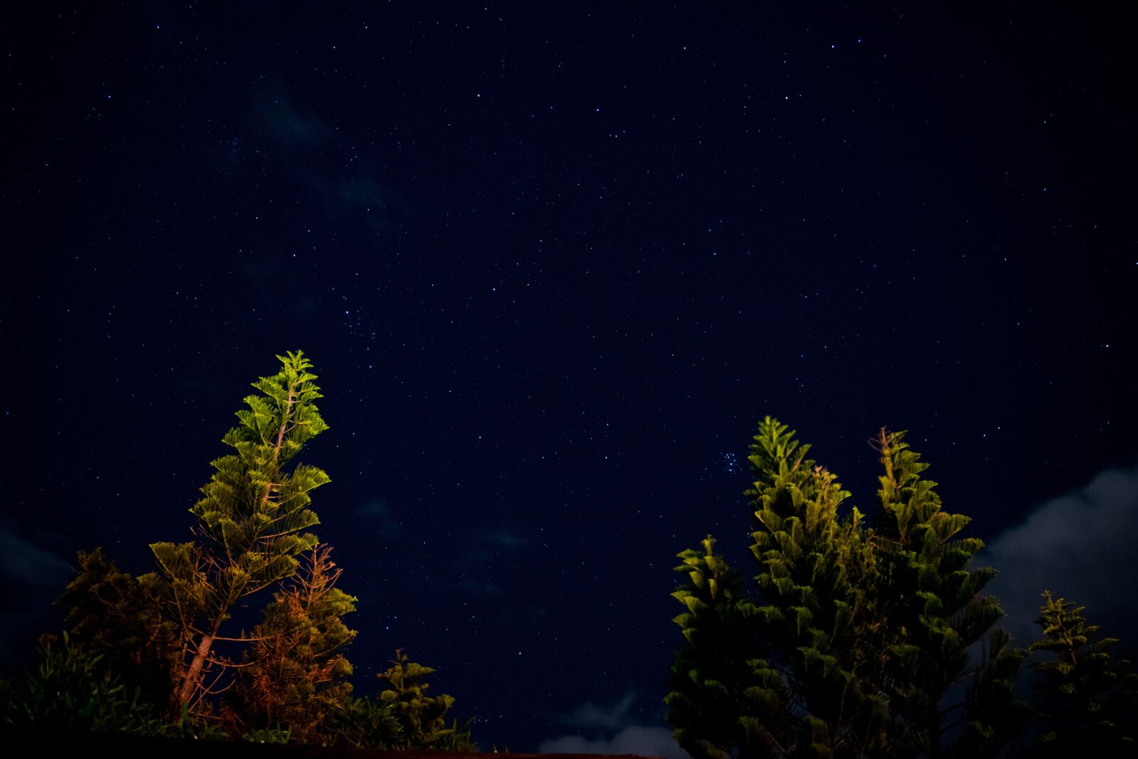 Nikon D3300 sample photo. Landscape, stars, astrophotography photography