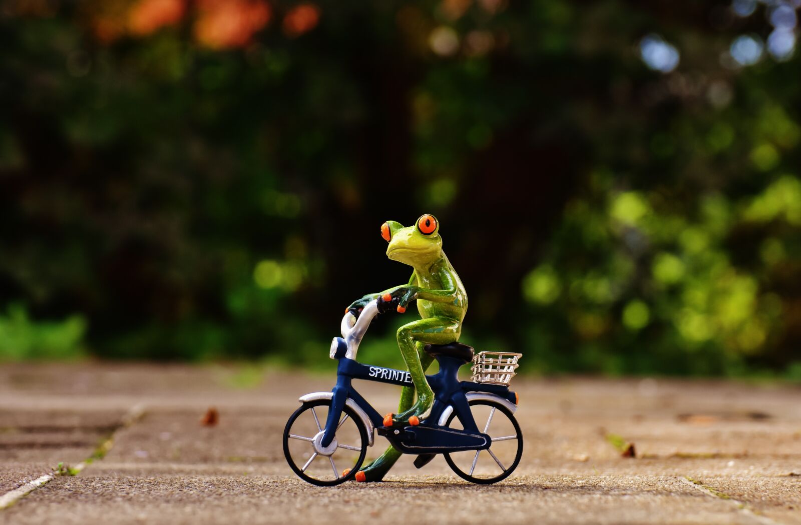 Nikon D7200 sample photo. Frog, bike, funny photography