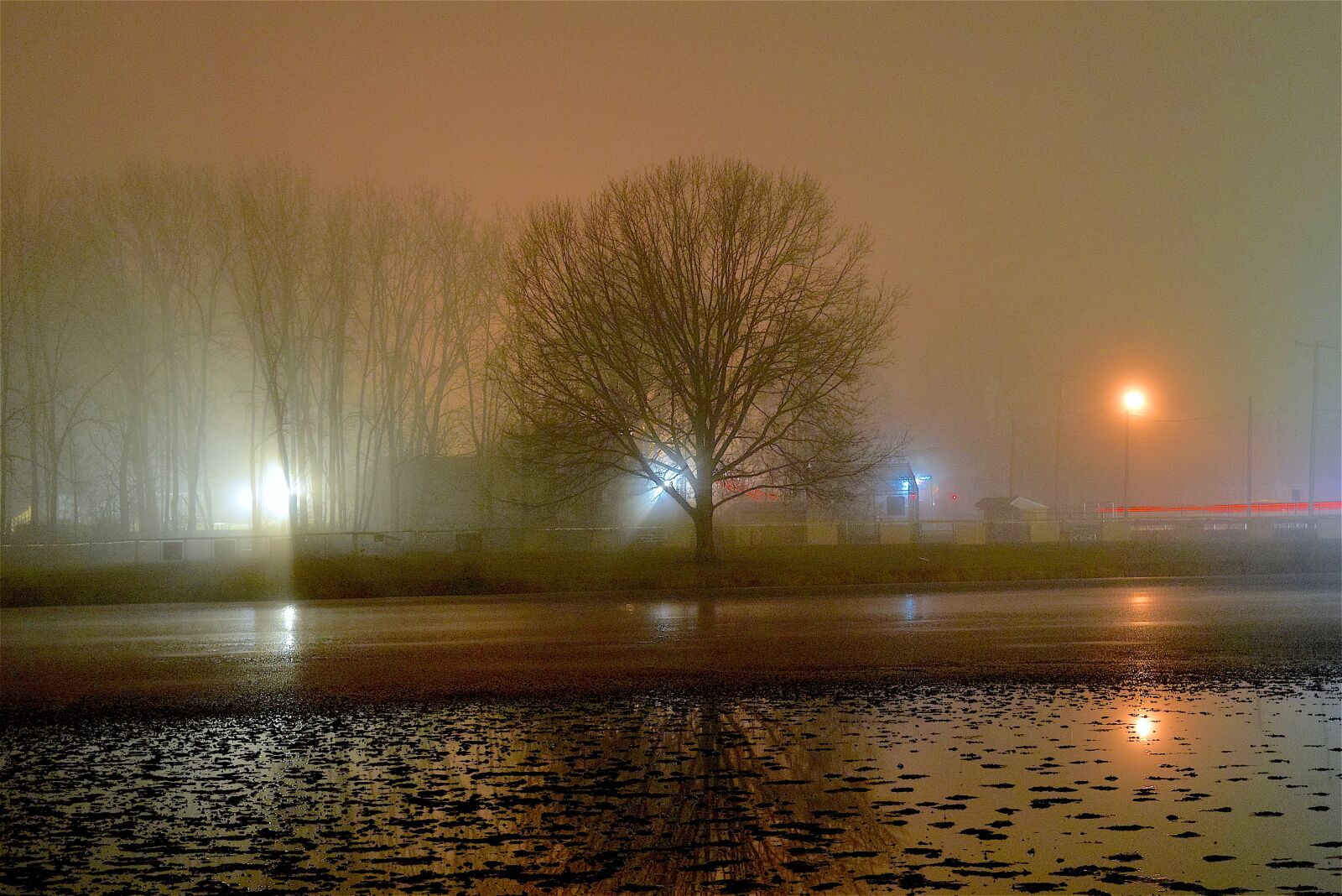 Nikon D3300 sample photo. Fog, night, tree photography