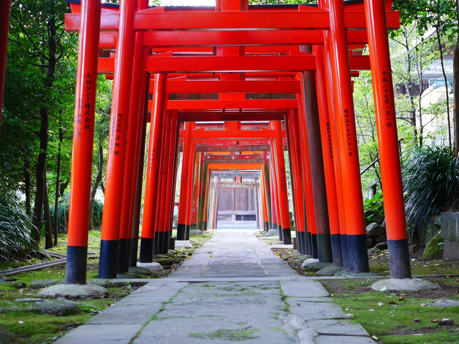 Panasonic Lumix DMC-GX7 sample photo. Shrine, torii, japan photography