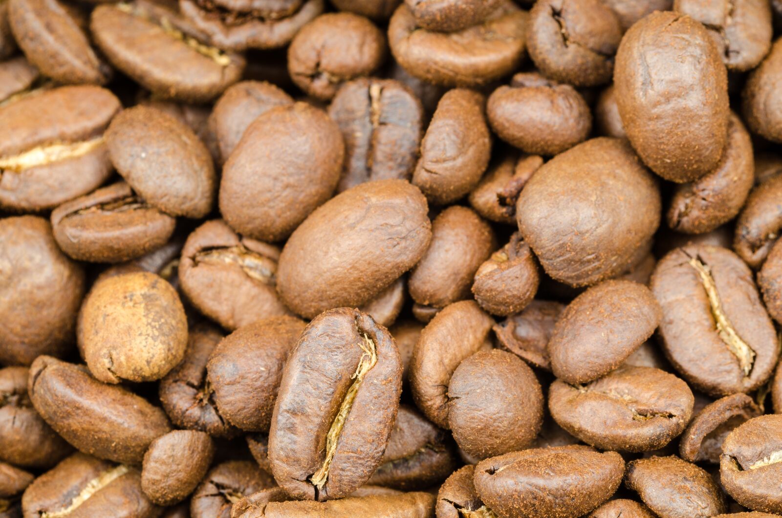 Nikon D5100 sample photo. Coffee, brown, caffeine photography