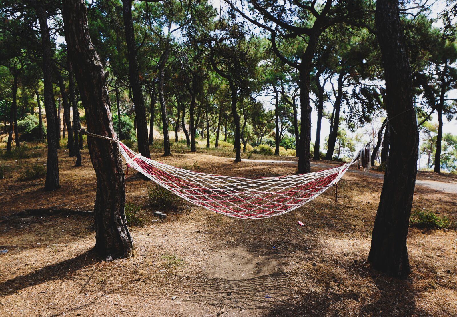 Sony a6000 sample photo. Hammock, forest, nature photography