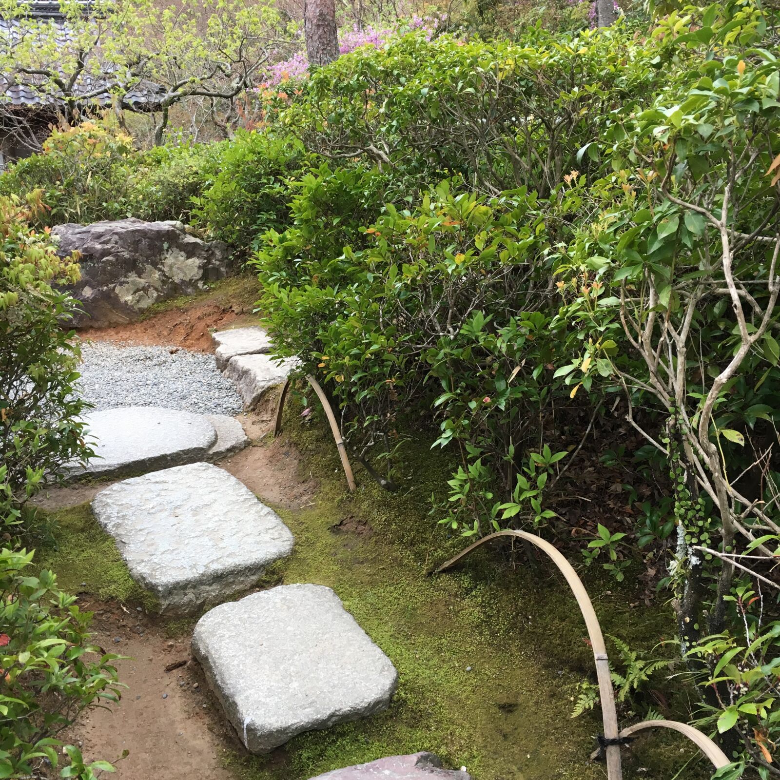 Apple iPhone 6s sample photo. Japan, garden, stepping stones photography