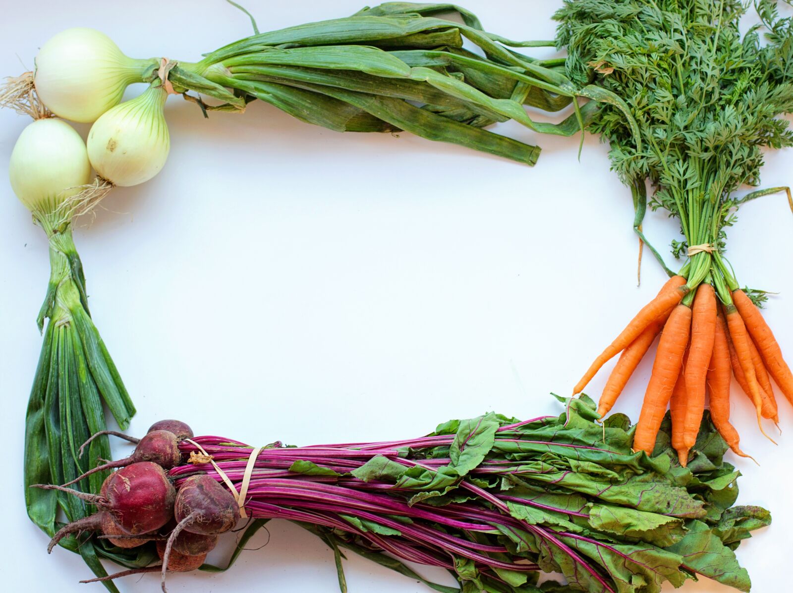 Canon EF 50mm F1.4 USM sample photo. Vegetables, frame, white space photography