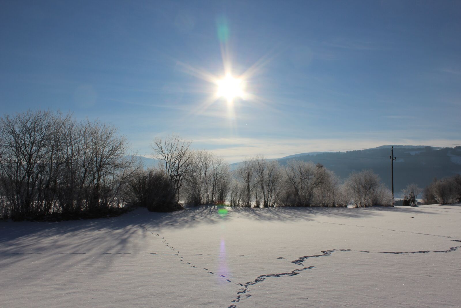 Canon EOS 600D (Rebel EOS T3i / EOS Kiss X5) sample photo. Winter, snow, frozen photography
