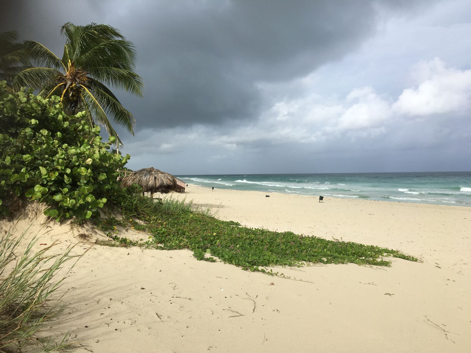 Apple iPhone 6s sample photo. Caribbean, dark clouds, beach photography