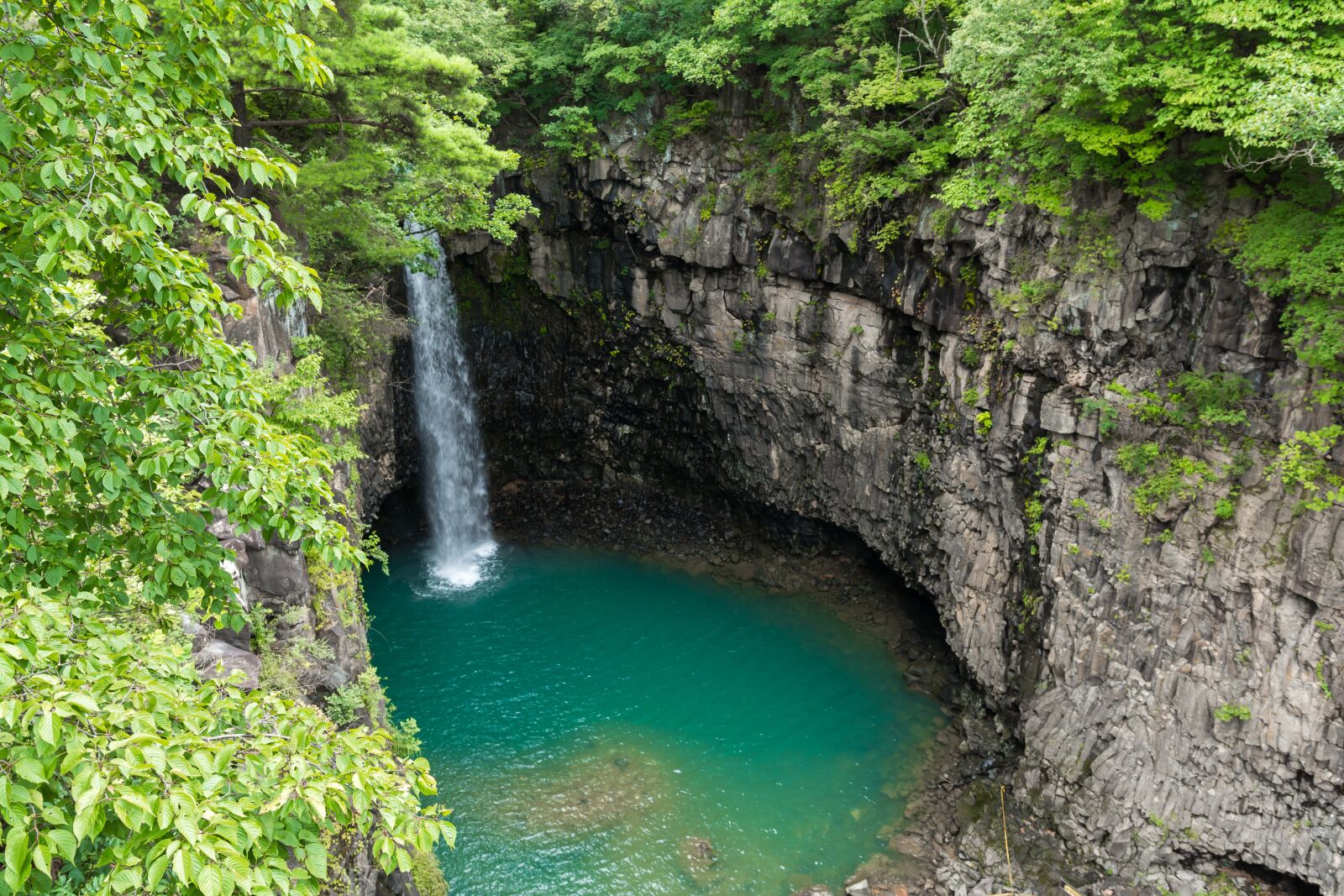 Nikon D7100 sample photo. Waterfall, ash falls, wood photography