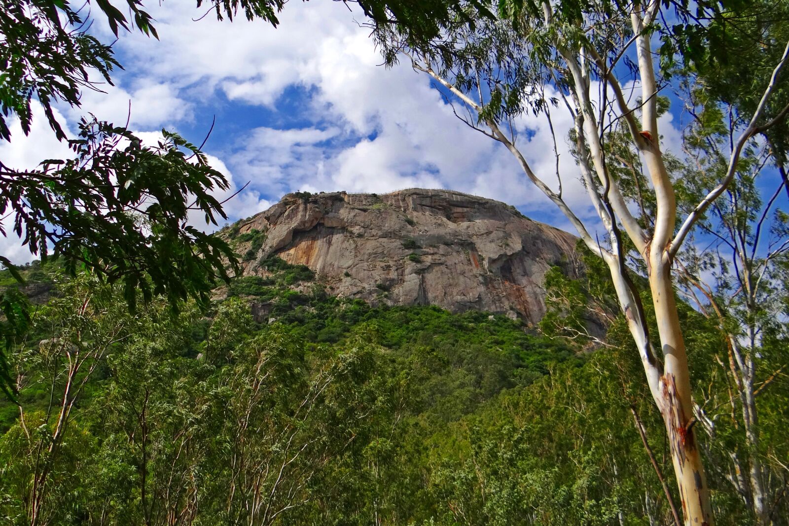 Sony DSC-HX200V sample photo. Nandi hills, karnataka, india photography
