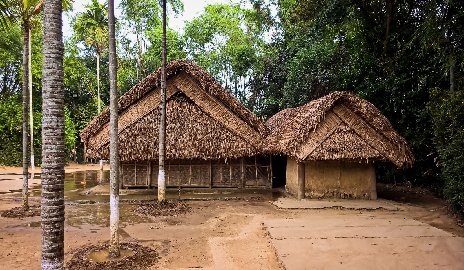 Nokia Lumia 830 sample photo. Leaf houses, villages, bamboo photography