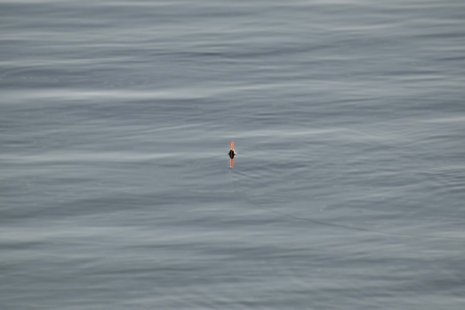 Nikon D5500 sample photo. Calm, detail, fishing, nylon photography